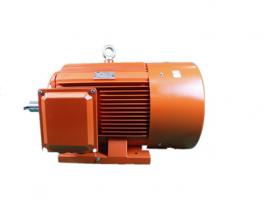 YX2 Series 6kV High Efficiency High Voltage Compact Three-phase Asynchronous Motor